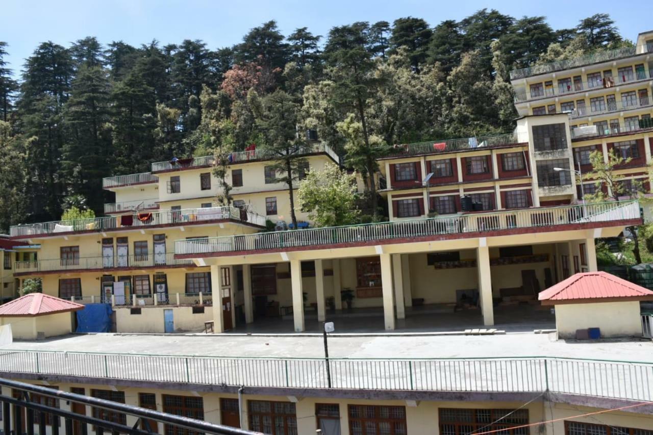 Misty Woods Hotel Dharamshala Eksteriør billede