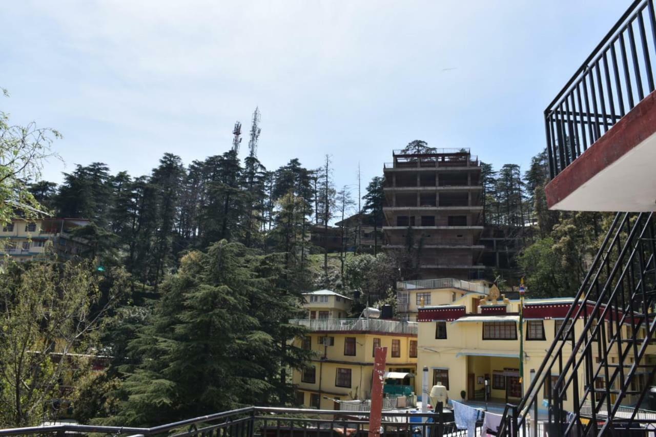 Misty Woods Hotel Dharamshala Eksteriør billede