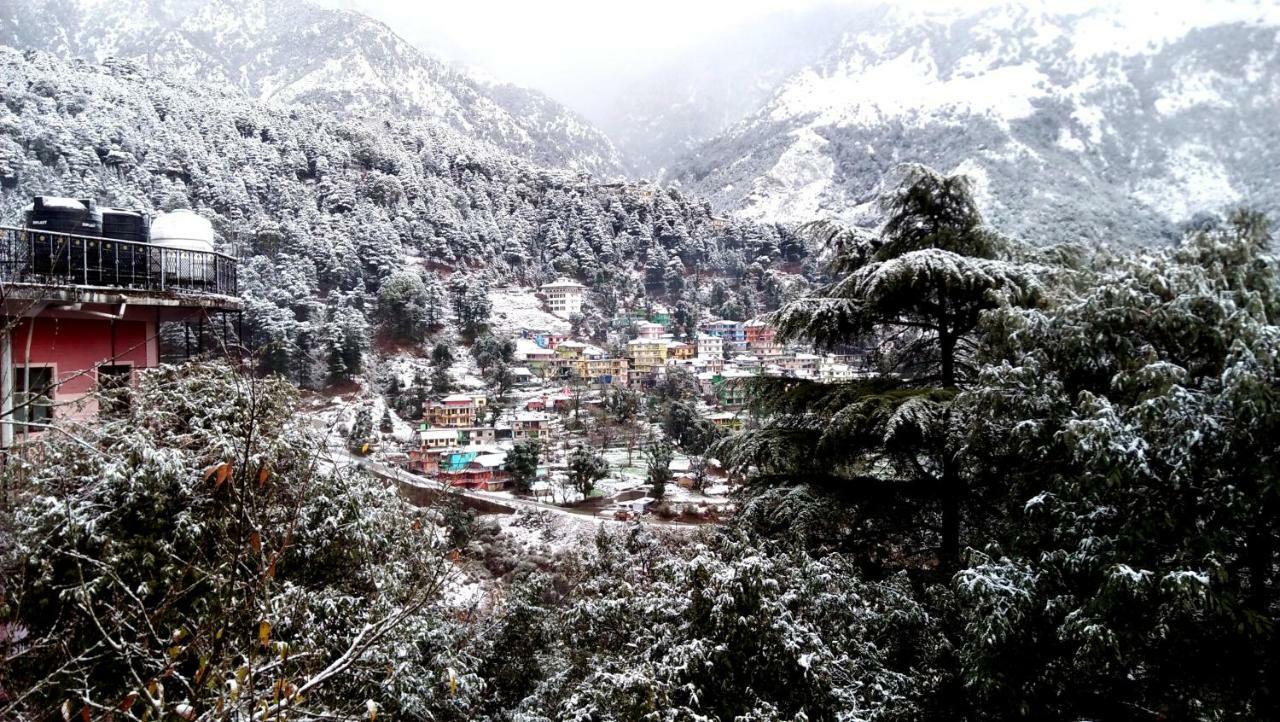 Misty Woods Hotel Dharamshala Eksteriør billede